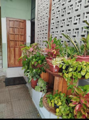 Apartamento Aconchego 102